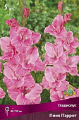 Гладиолус Пинк Пэррот (5 шт)