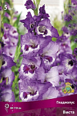 Гладиолус Виста (5 шт)