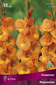 Гладиолус Корнелли (10 шт)