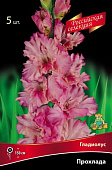 Гладиолус Прохлада (5 шт)