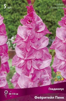 Гладиолус Фейритейл Пинк (5 шт)