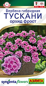 Вербена Тускани орхид фрост 5шт