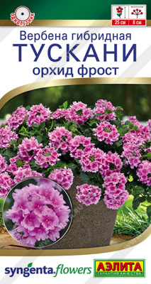 Вербена Тускани орхид фрост 5шт