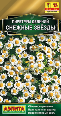 Пиретрум Снежные звезды 7шт