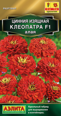Цинния Клеопатра алая 12шт