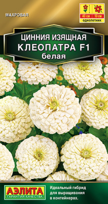Цинния Клеопатра белая 12шт
