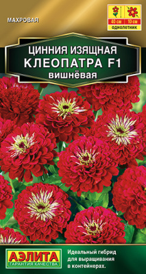 Цинния Клеопатра вишневая 12шт