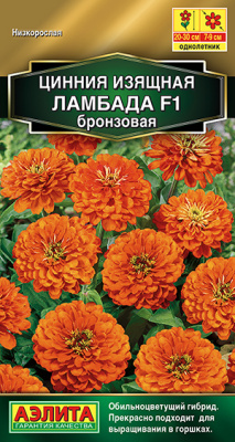 Цинния Ламбада бронзовая 12шт