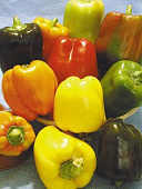 Перец Сиеста смесь 20шт