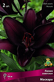 Лилия Маскара (3 шт)