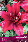 Лилия Блад Бразерз (3 шт)