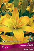 Лилия Голд Твин (3 шт)