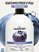 Удобрение ЛВУ! Биомолекулы для ягод, 400 мл