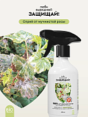 Удобрение ЛВЗ! Спрей от мучнистой росы 450 мл