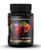 Подкормка растений Мультиформула Крупные плоды 100 мл (50 шт)