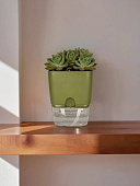 Горшок Квадрат Аквадуэт 1,5л 11,5*11,5 папоротник с фитильным поливом