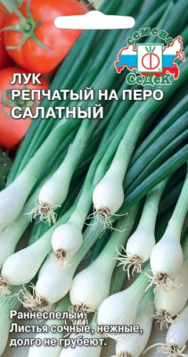Лук репчатый На перо салатный 1г