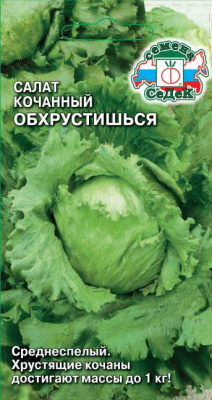 Салат Обхрустишься (айсберг) 0,5г кочанный