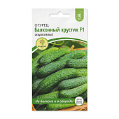 Огурец Балконный хрустик 10шт
