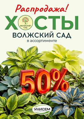 -50% на хосты