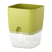 Горшок Аквадуэт квадрат 1,5л 11,5*11,5 папоротник с фитильным поливом (уп.18)