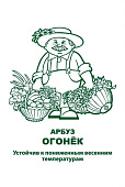 Арбуз Огонек 15шт