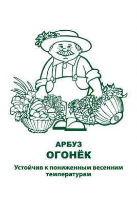 Арбуз Огонек 15шт