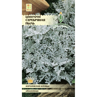 цЦинерария Серебряная пыль 0,05г