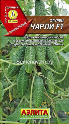 Огурец Чарли