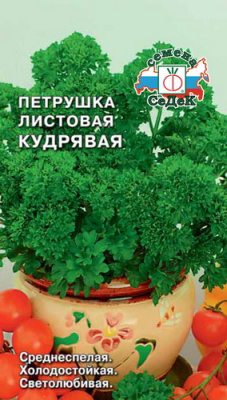 Петрушка листовая кудрявая