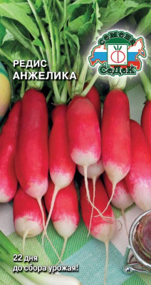 Редис Анжелика ДУ