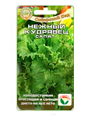 Салат Нежный кудрявец 0,5г