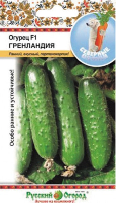 Огурец Гренландия 10шт (Северные овощи)