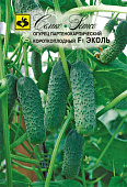 Огурец Эколь 5шт