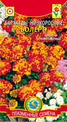 цБархатцы Болеро откл. 45 шт