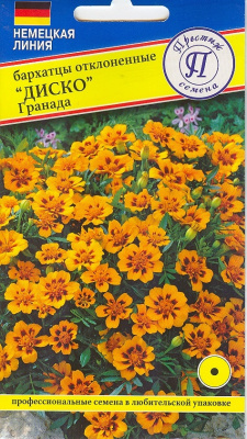 цБархатцы Гранада (Диско) 5шт