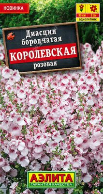 цДиасция Королевская розовая 20шт