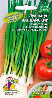 Лук батун Валдай 0,5г