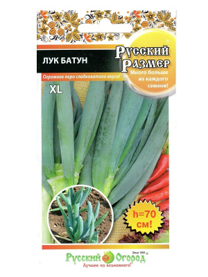 Лук батун Русский Размер 100шт