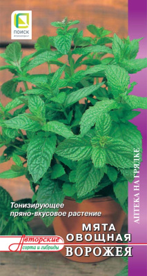 Мята Ворожея 0,1г