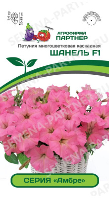 цПетуния Шанель(серия Амбре) 5шт