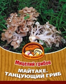 Грибы Майтаке