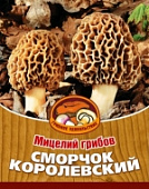 Грибы Сморчок королевский