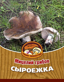 Грибы Сыроежка