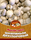 Грибы Шампиньон Двуспоровый
