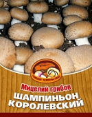 Грибы Шампиньон Королевский