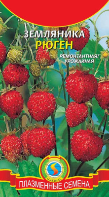 Земляника Рюген