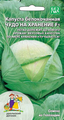 Капуста бк Чудо на хранение