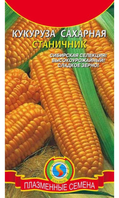 Кукуруза Станичник