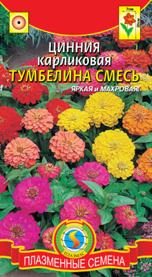 цЦинния Тумбелина карликовая смесь 20шт